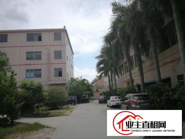  标准厂房一楼1000平方招租