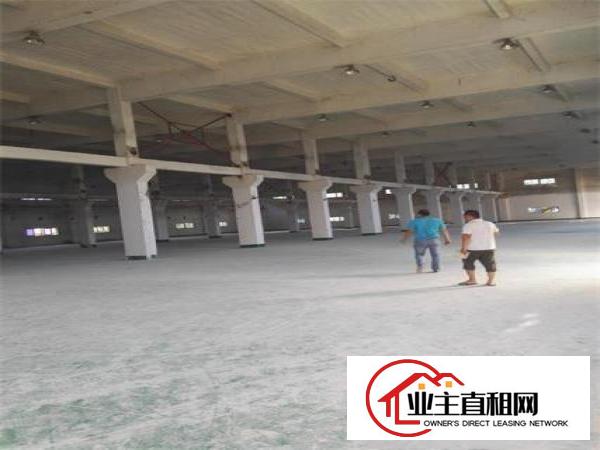  潼侨标准单一层钢构厂房2200平米出租（可分租）
