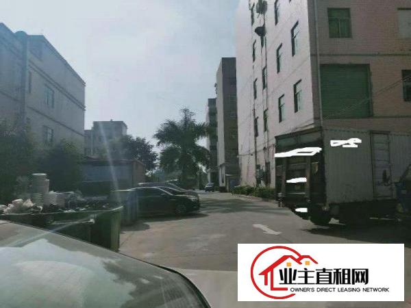  潼桥原房东标准厂房1000平方出租，证件齐全