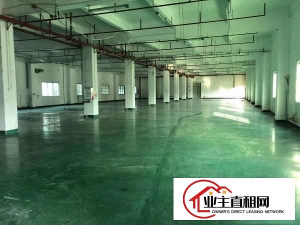  仲恺潼侨标准厂房1500平米出租