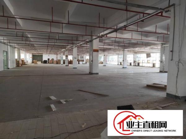  潼侨工业区粤成工业园一楼厂房1200平米可分租。