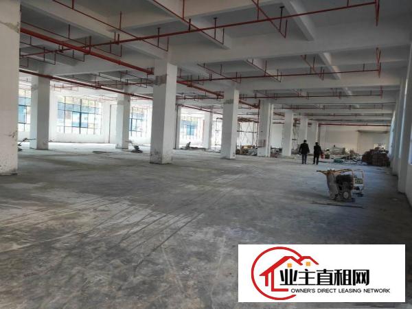  潼侨工业区粤成工业园一楼厂房1200平米可分租。