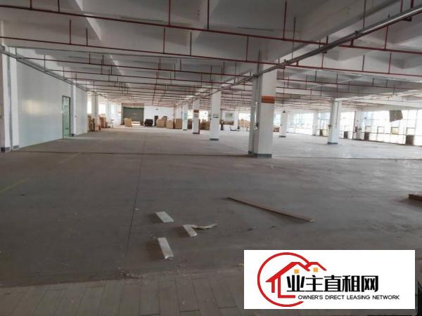  潼侨工业区粤成工业园一楼厂房1200平米可分租。