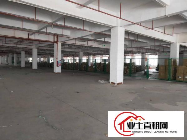  潼侨工业区粤成工业园一楼厂房1200平米可分租。