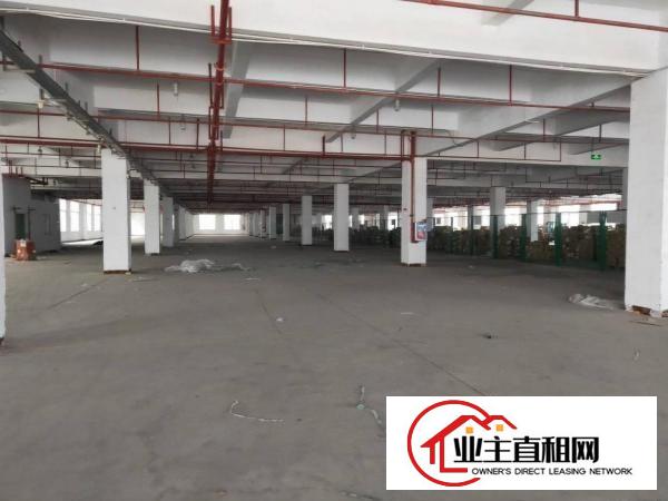  潼侨工业区粤成工业园一楼厂房1200平米可分租。