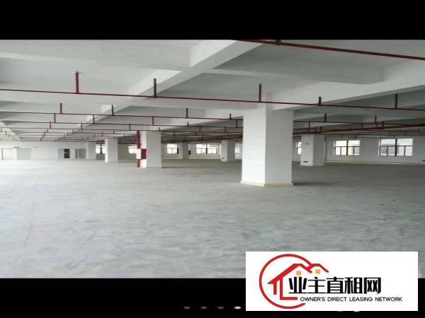 陈江独院圣帞高新电子厂6900平带装修高标准有环评原房东招租