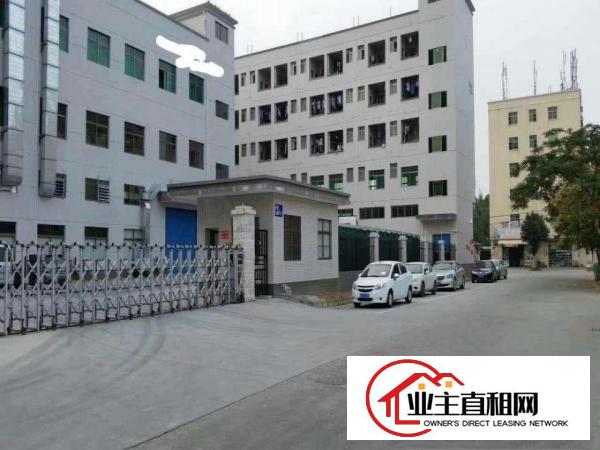  陈江独院圣帞高新电子厂6900平带装修高标准有环评原房东招租