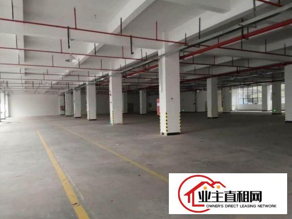  陈江独院圣帞高新电子厂6900平带装修高标准有环评原房东招租