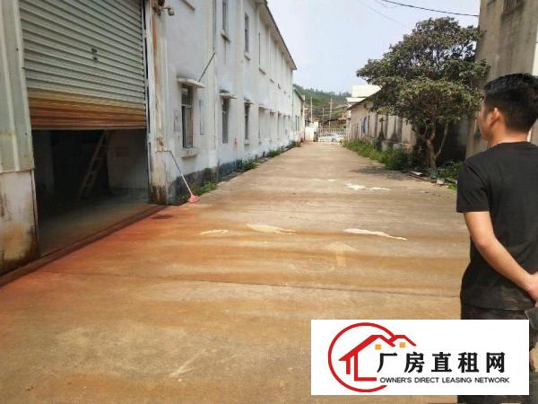  惠州实惠钢结构独院厂房招租