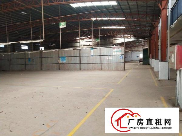  惠州实惠钢结构独院厂房招租
