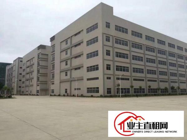  淡水大型工业园出租，园区证件齐全，房东包过环评，可以大小分租