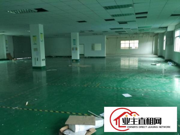  淡水2500平带装修楼上，工业园内，形象好，交通方便，可分租