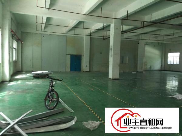  淡水2500平带装修楼上，工业园内，形象好，交通方便，可分租