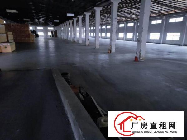  惠阳区大亚湾标准仓库2000平出租，可分租，空地大