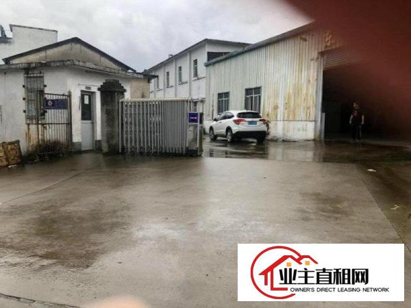 淡水工业园内钢结构厂房出租不限制行业随时可看