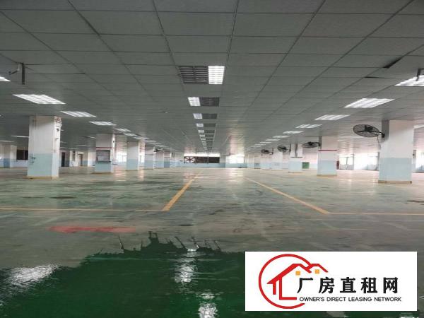  惠州惠阳淡水白云坑新出42800平米标准厂房出租空地大