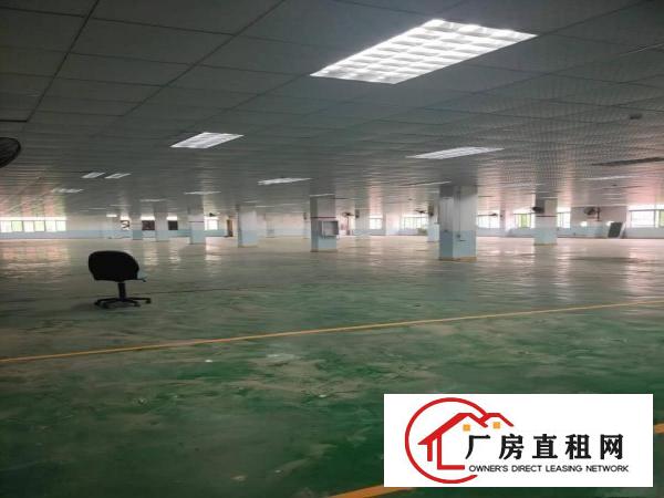  惠州惠阳淡水白云坑新出42800平米标准厂房出租空地大