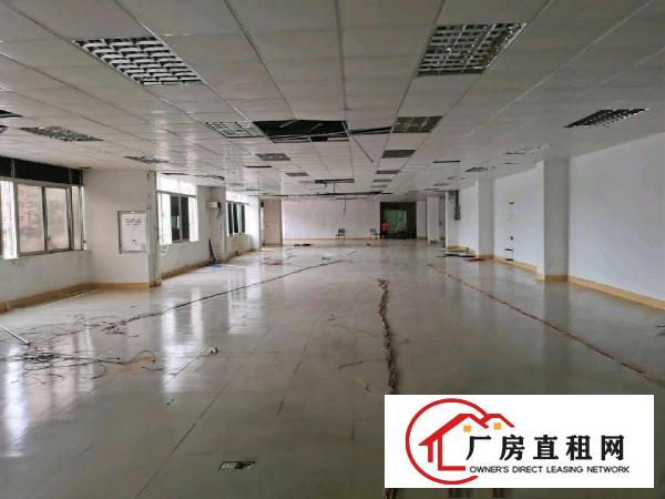  惠阳淡水白云坑正规园区一楼标准厂房出租面积300平方