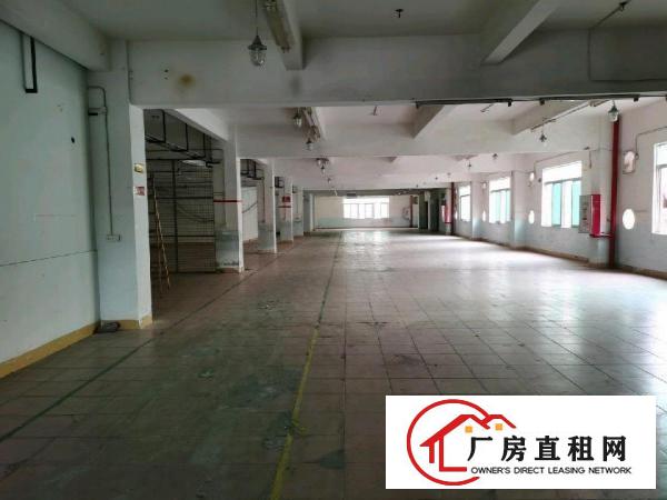  惠阳淡水白云坑正规园区一楼标准厂房出租面积300平方