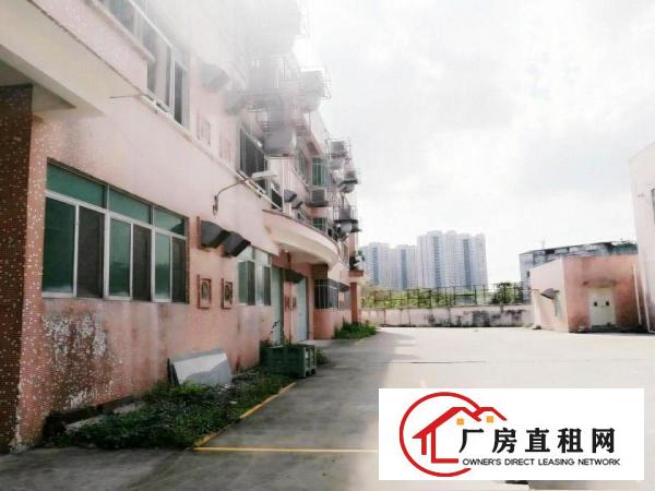  楼上300平米起招租工厂电商仓库