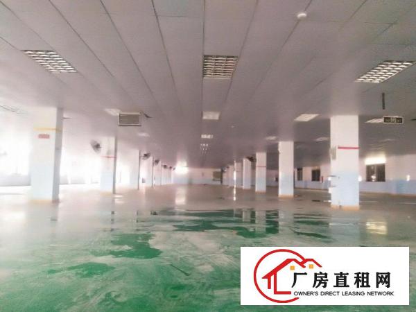  楼上300平米起招租工厂电商仓库