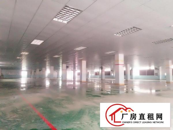  楼上300平米起招租工厂电商仓库