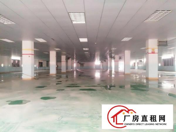  楼上300平米起招租工厂电商仓库