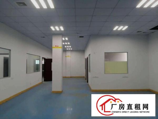  独立厂房招租工厂，仓库装修免费送。