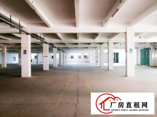  独立厂房招租工厂，仓库装修免费送。