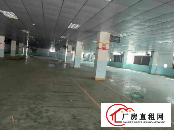  惠阳淡水证件齐全工业厂房单层3200平，大小可分，可办环评