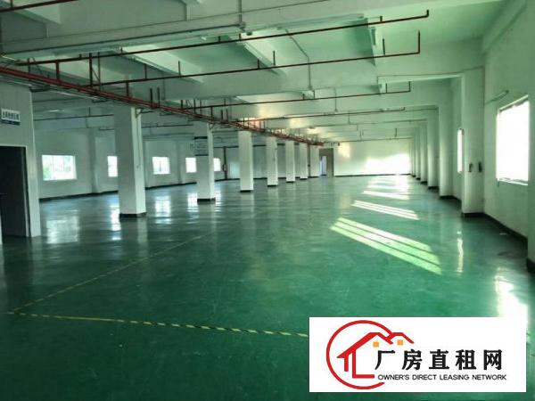  惠阳淡水和坪山交界处二楼2820平方