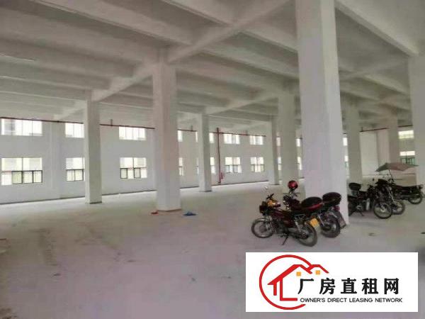  可办环评！可分组做独院！惠州市惠阳工业园区厂房出租