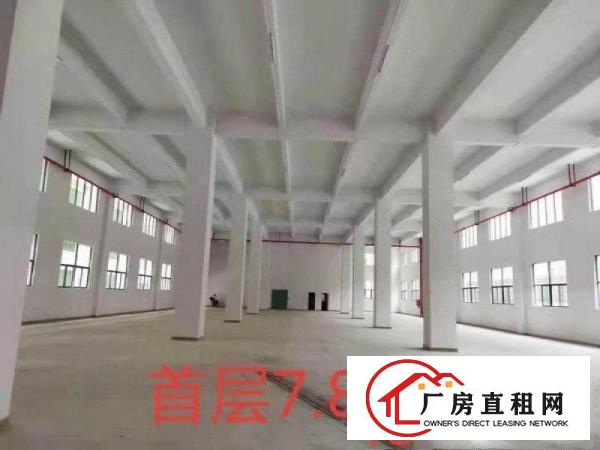  可办环评！可分组做独院！惠州市惠阳工业园区厂房出租
