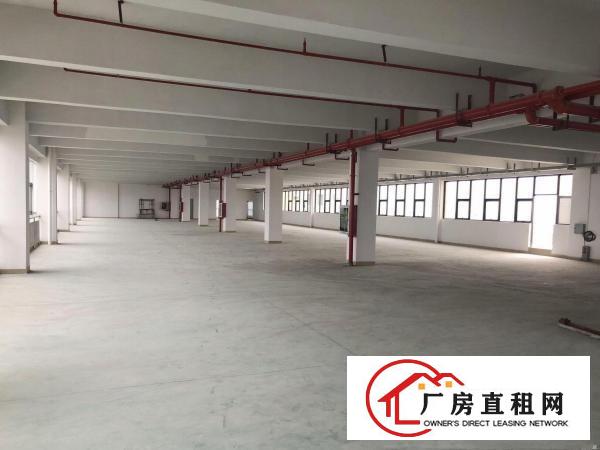  惠阳区迅扬高科园出租（业主厂房单层多层工业园直招）