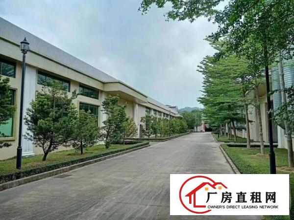  马上订！空出漂亮豪的花园式独院厂房，高端大气空地有几万平方！