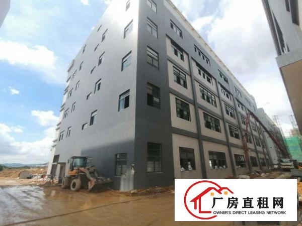  惠阳区镇隆镇全新工业园区隆重招商！带有消防喷淋！硬件设施完善