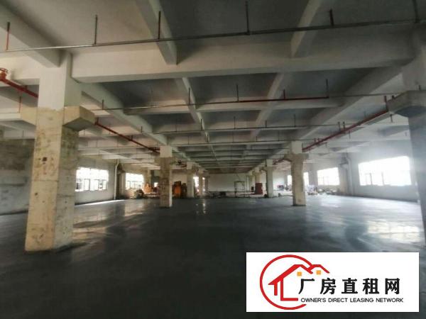  惠阳区镇隆镇全新工业园区隆重招商！带有消防喷淋！硬件设施完善