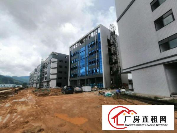  惠阳区镇隆镇全新工业园区隆重招商！带有消防喷淋！硬件设施完善