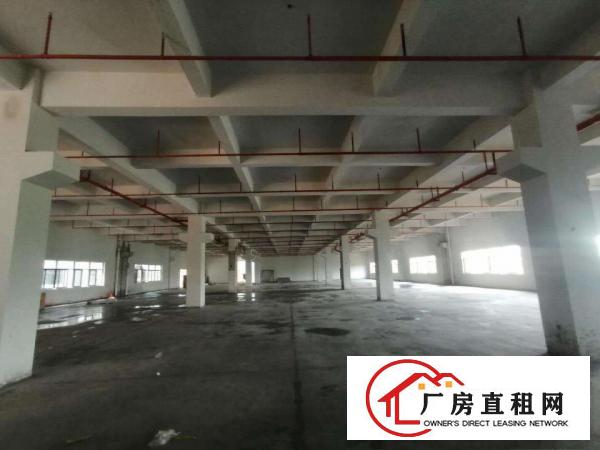  惠阳区镇隆镇全新工业园区隆重招商！带有消防喷淋！硬件设施完善