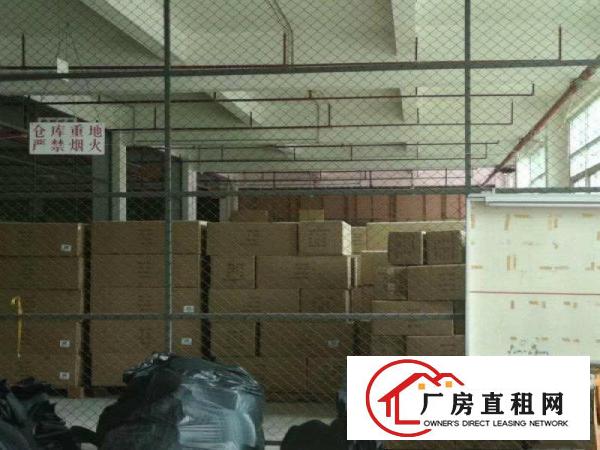  （出租）惠阳淡水白云坑原房东花园式独院标准厂房10000平