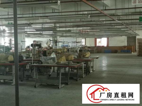  （出租）惠阳淡水白云坑原房东花园式独院标准厂房10000平