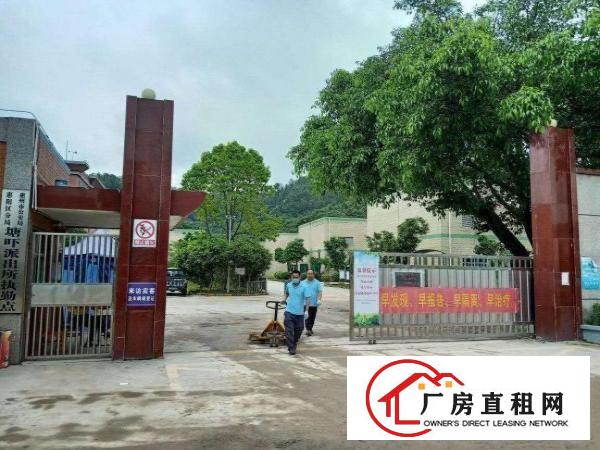  新圩镇新出化工油漆厂的福音来啦！证件齐全，空地大！