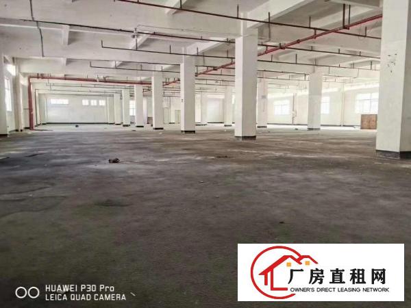  独门独院厂房出租（有现成洗涤环评）！超大空地！带消防喷淋！