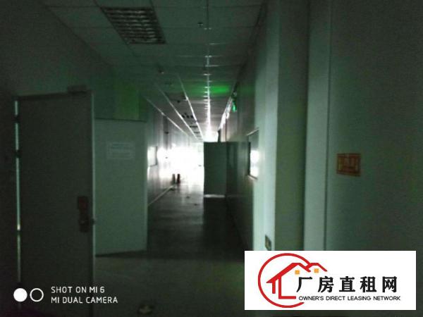  镇隆镇花园式厂房，用电大户的，空地大，大车进出方便