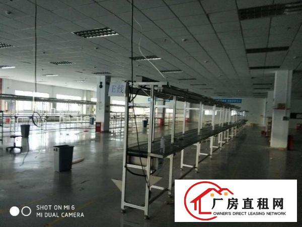  镇隆镇花园式厂房，用电大户的，空地大，大车进出方便