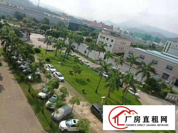  镇隆镇花园式厂房，用电大户的，空地大，大车进出方便
