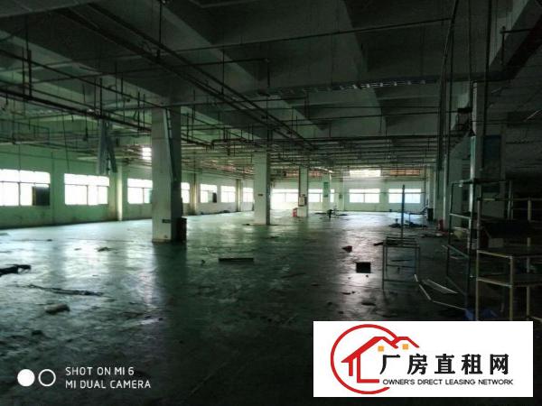  镇隆镇花园式厂房，用电大户的，空地大，大车进出方便