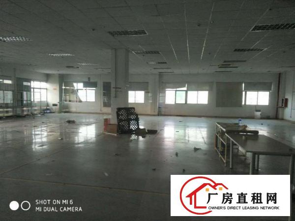  镇隆镇花园式厂房，用电大户的，空地大，大车进出方便