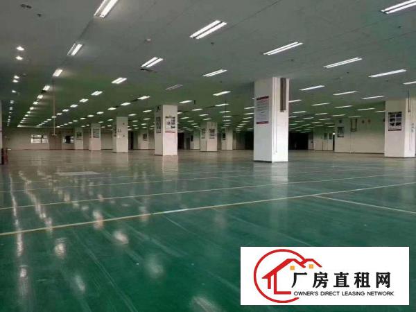  原房东标准红本厂房！带宿舍带办公楼，配电大，大路边！