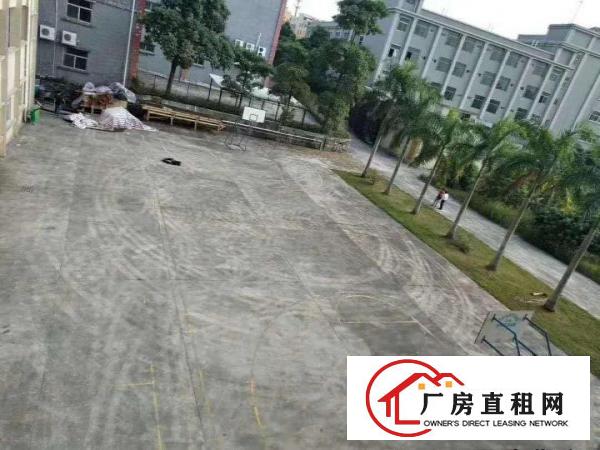  原房东标准红本厂房！带宿舍带办公楼，配电大，大路边！